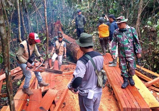 Patroli Karhutla, Tim Gabungan Koramil 04/Pkl Kuras Temukan Kayu Olahan di TNTN