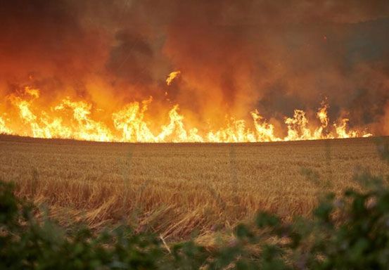 Kebakaran Hutan Landa Portugal dan Spanyol di Tengah Gelombang Panas