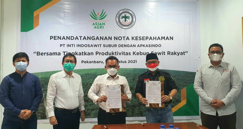 Pacu PSR Nasional, DPP APKASINDO Jalin Kemitraan Setara dengan Asian Agri