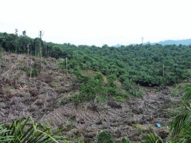 Tuntaskan Persoalan Tanah di Riau, Komisi II DPR RI Rekomendasikan Bentuk Tim