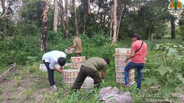 BBKSDA Riau Gagalkan Pengiriman 840 Ekor Burung Tanpa Dokumen