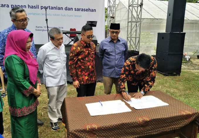 Chevron Bagi-bagi Sapi untuk Petani Muda Riau