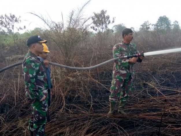 Dalam Sepekan, 31 Hektar Lahan Gambut Terbakar di Dumai