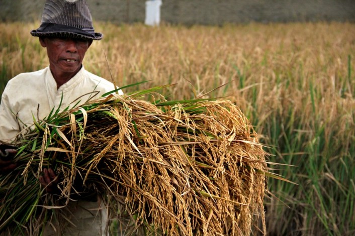 DPRD Minta Bulog Maksimalkan Penyerapan Hasil Pertanian di Riau