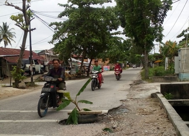 Walikota Minta Warga Tak Latah Tanam Pohon Pisang di Jalan Berlubang