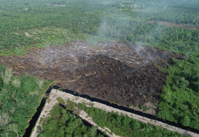 Puluhan Hektare Lahan Terbakar, Siak Sudah Tetapkan Siaga Darurat Karhutla