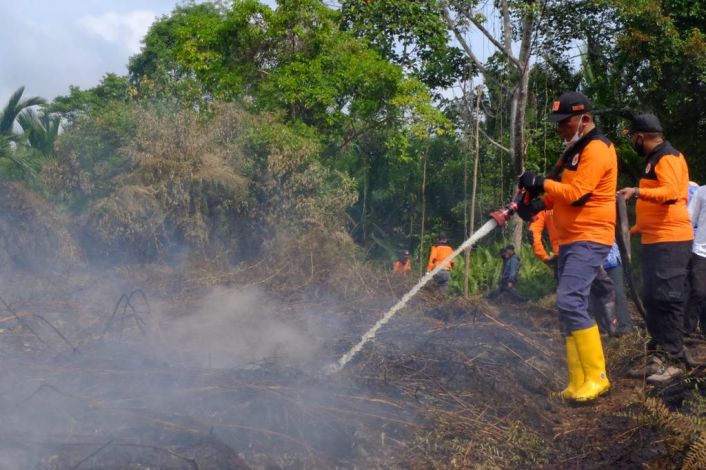 Ratusan Hektare Lahan Terbakar, Penetapan Status Siaga Karhutla Riau 2022 Tunggu Daerah