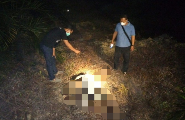Mayat Pria Berkaos Putih Ditemukan di Tengah Kebun Sawit Warga Pelalawan