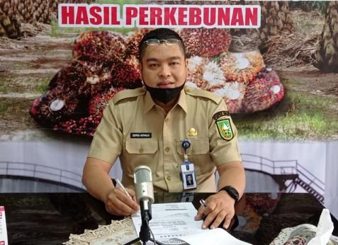 Harga Kelapa Sawit Riau Makin Moncer, Tembus di Level Rp4.244,79 Perkilogram