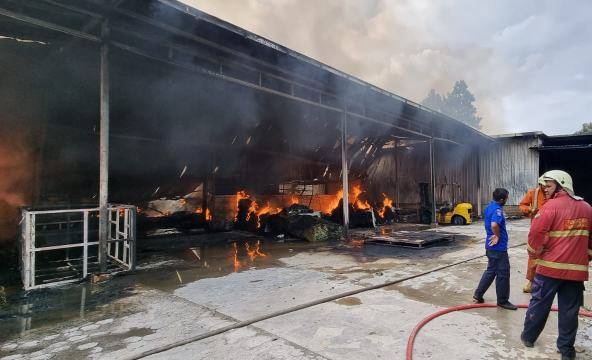 Api Diduga Berasal dari Penggiling Busa, Pabrik Kasur di Pekanbaru Ludes Terbakar