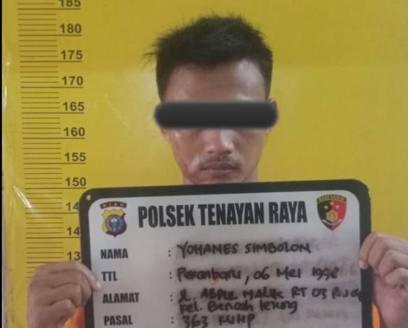 Sudah Beraksi 3 Kali, Ninja Sawit di Pekanbaru Ditangkap Polisi