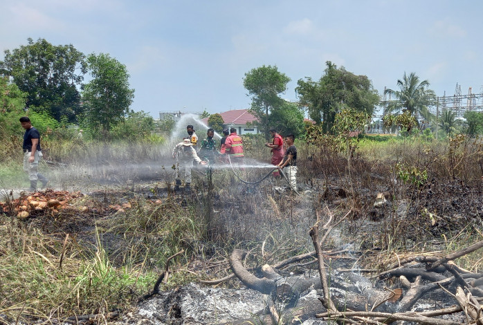 Masuk Musim Kemarau, Pemerintah di Riau Diingatkan Waspada Potensi Karhutla