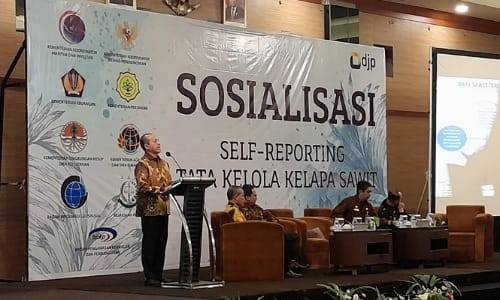 Satgas Tata Kelola Sawit Gelar Sosialisasi Self-Reporting di Riau