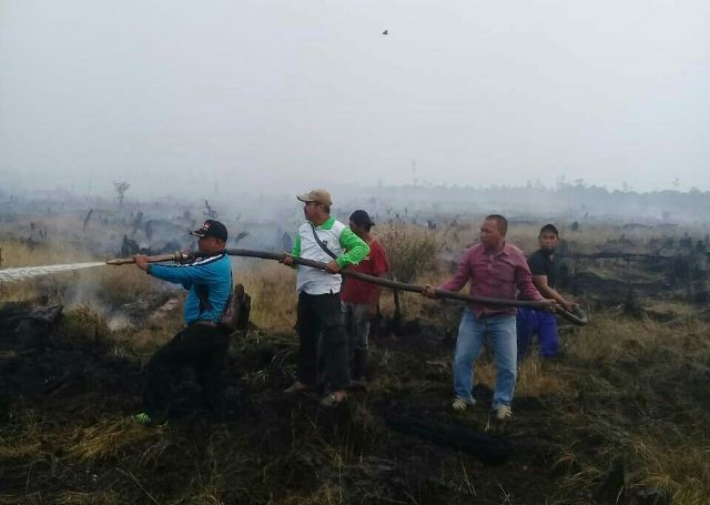 Puluhan Hektar Lahan di Pangkalan Gondai, Pelalawan Terbakar