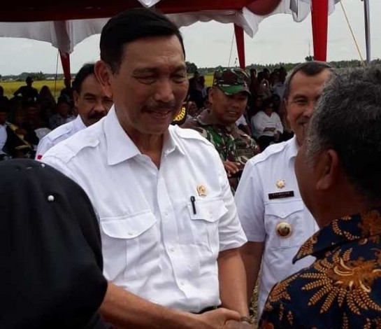 Menteri Luhut Pandjaitan Puji Syamsuar Mirip Jokowi