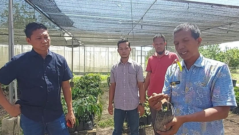 Tiga Jenis Varian Durian Lokal Diusulkan Raih Sertifikasi Khas Pelalawan