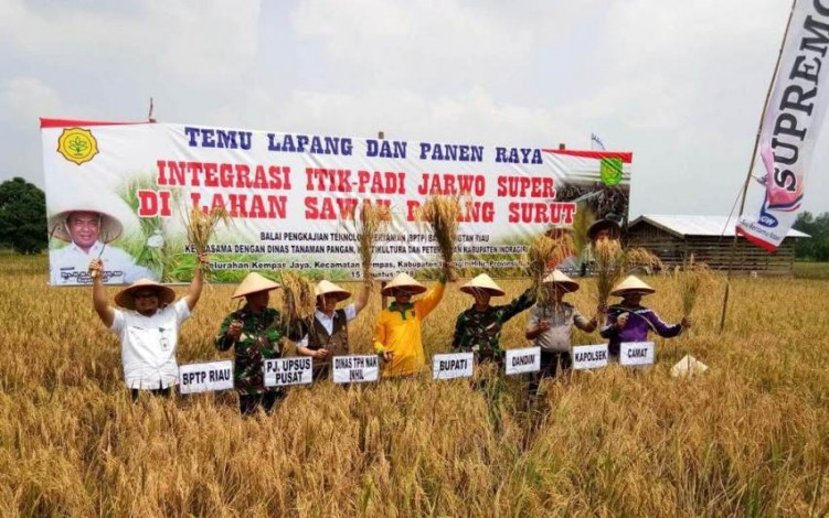 Integrasi Padi Jarwo Super-Itik Tingkatkan Pendapatan Petani