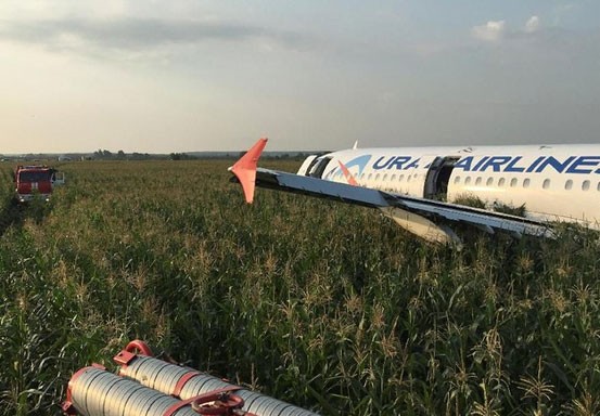 Pilot Maskapai Rusia yang Mendarat Darurat di Ladang Jagung Dipuji Pahlawan