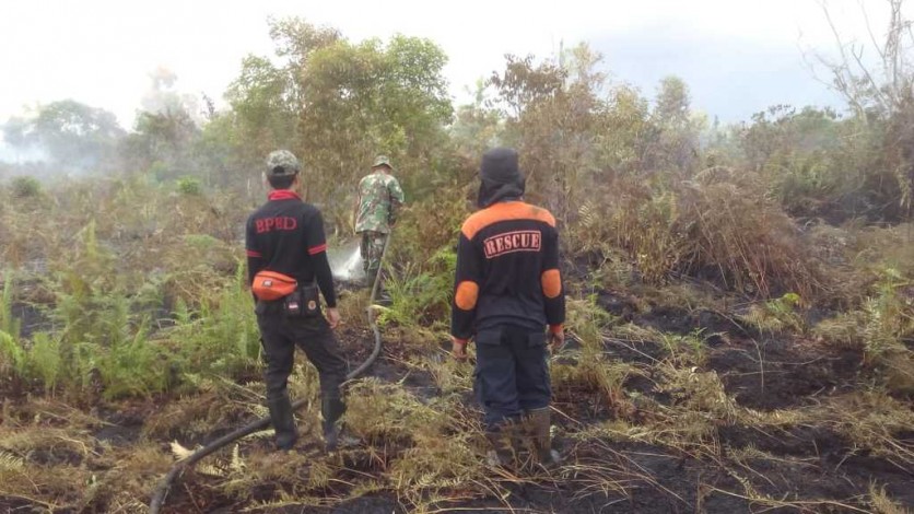 5.210 Hektare Hutan dan Lahan di Riau Terbakar
