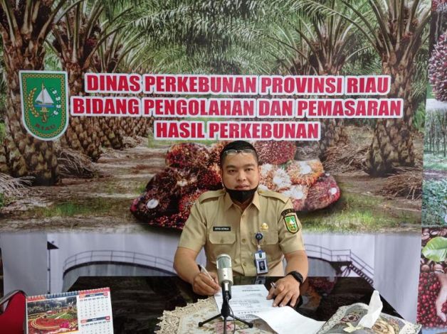 Merangkak Naik, TBS Sawit Riau Sepekan ke Depan Dihargai Rp 2.433,66/Kg