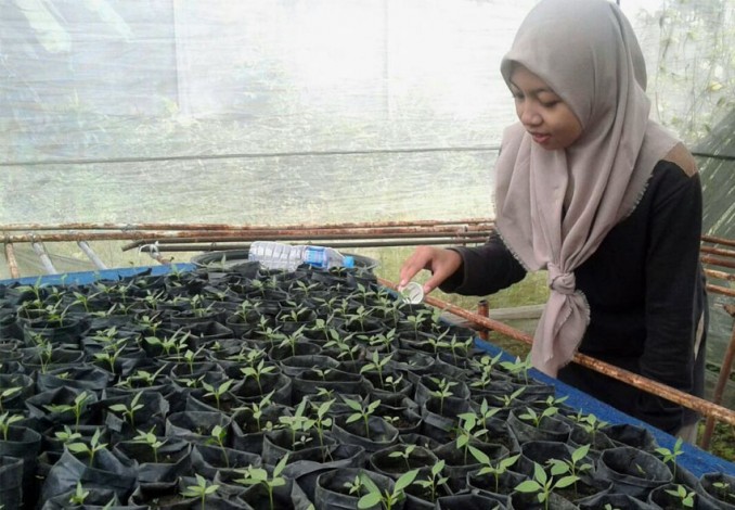GenBi Riau Jaga Tingkat Inflasi Melalui Urban Farming
