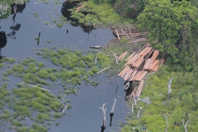 Illegal Loging di Dua Daerah Ini masih Masif, Kapolda Riau: Hutan Alam Perlu Ditolong