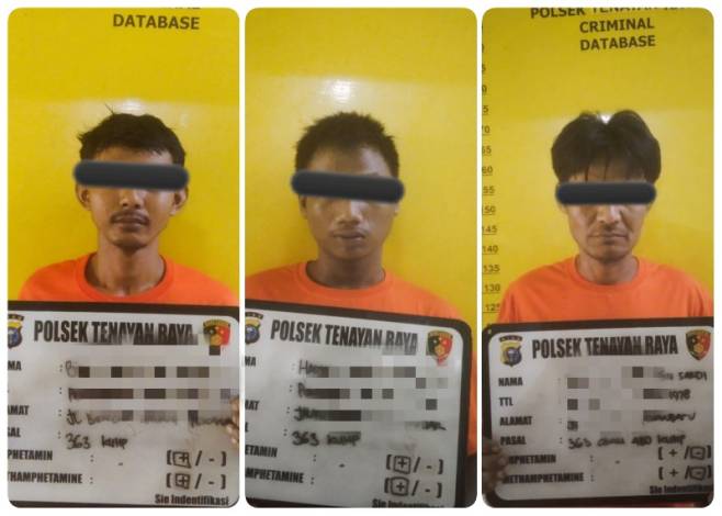 Tiga Pencuri Kambing Ditangkap, Uangnya Buat Beli Chip Judi Online