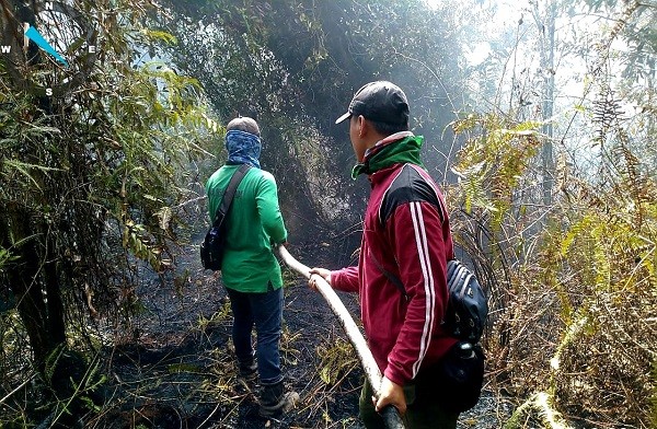 10 Hektare Lahan SM Giam Siak Kecil Terbakar