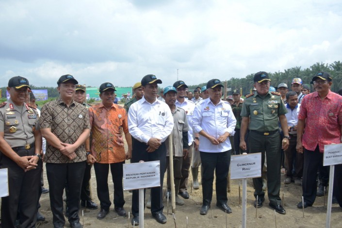 Kementan RI Siapkan 100 Ribu Hektare Lahan Pertanian di Riau