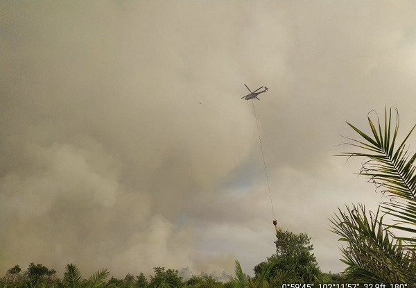 Operasional 2 Helikopter dari BNPB untuk Karhutla Riau Terkendala Izin