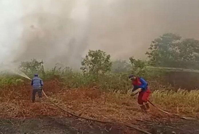 Luas Lahan Terbakar di Riau Capai 803 Hektare, Paling Banyak di Bengkalis
