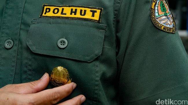Amankan 4 Juta Ha Kawasan Hutan, DLHK Riau Hanya Miliki 96 Personel Polhut 