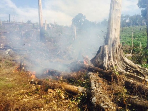 Tiga Titik Panas Terdeteksi di Riau, Diduga Kebakaran Lahan