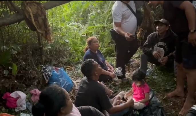 12 PMI Ilegal Ditemukan di Hutan, Polisi Riau Tangkap Satu Orang Tersangka