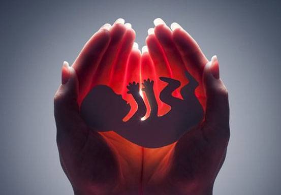 Ilmuwan Berhasil Ciptakan Embrio Manusia Sintetis, Tanpa Perlu Proses Pembuahan