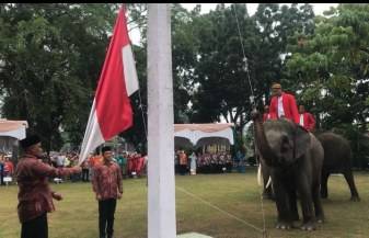 Unik! Gajah di Riau Ikut dalam Tim Pengibar Merah Putih saat Upacara HUT ke-78 RI