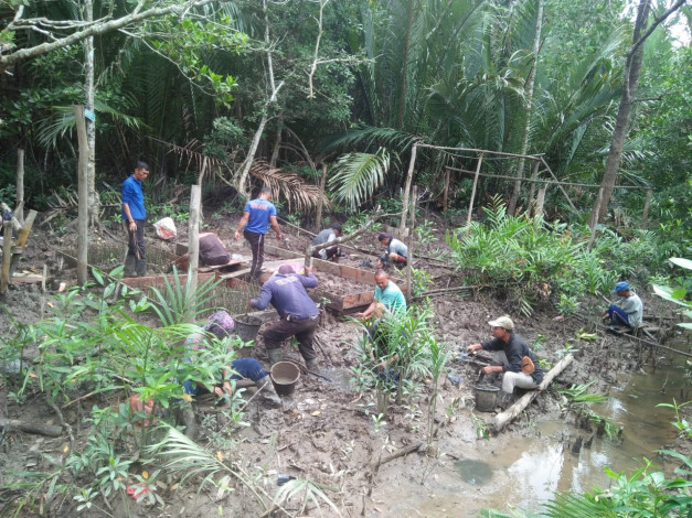 Program Padat Karya Mangrove KLHK di Riau Serap 1.552 Tenaga Kerja