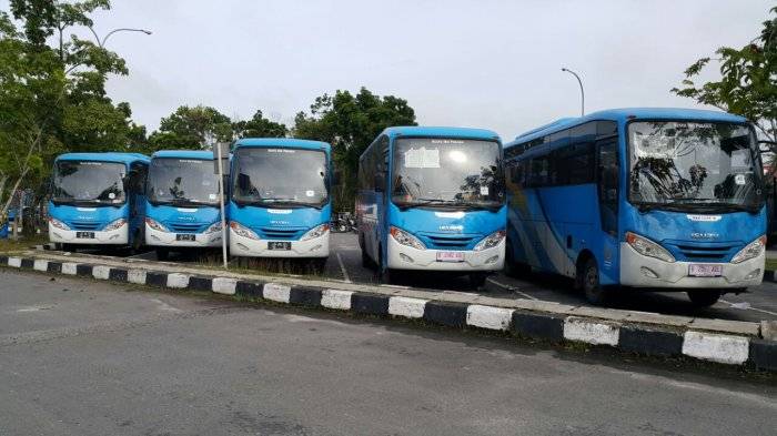 Dishub Pekanbaru Ajukan Subsidi Bus TMP Rp20 Miliar Lebih untuk Tahun Depan