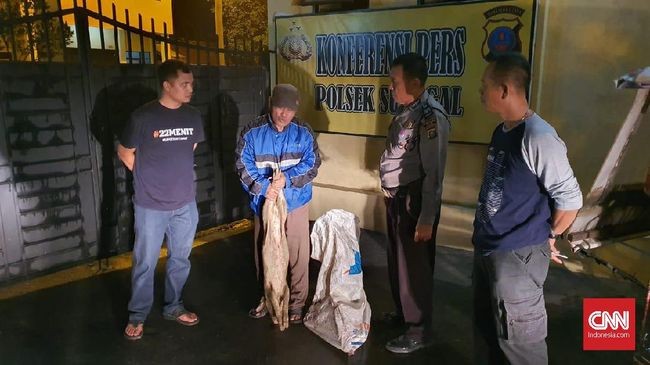 Polisi Tangkap Pembuang Bangkai Babi di Sungai Sumut