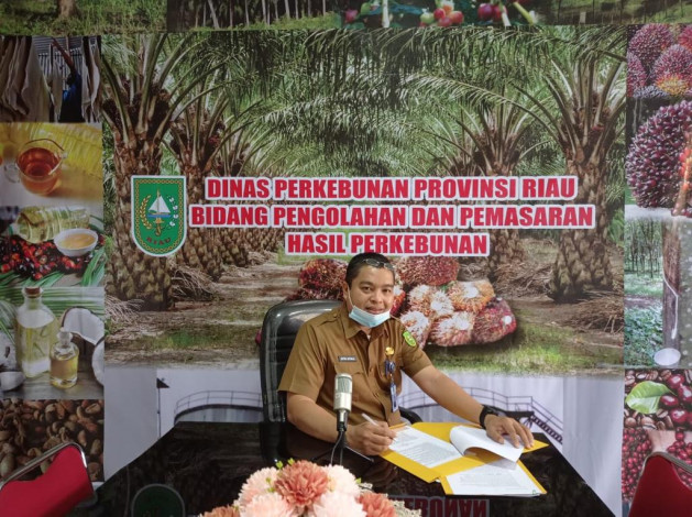 Turun Sedikit, Harga TBS Kelapa Sawit Riau jadi Rp 2.109 Perkilogram