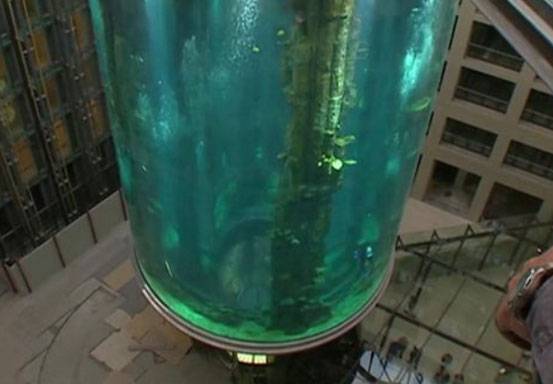 Tangki Akuarium Raksasa Berisi 1.500 Ikan Tropis di Berlin Meledak