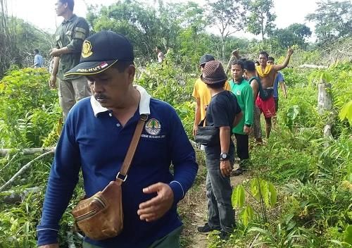 Turun Gunung, Tim BBKSDA Riau Halau Gajah Liar Hendak Masuk Pemukiman Warga