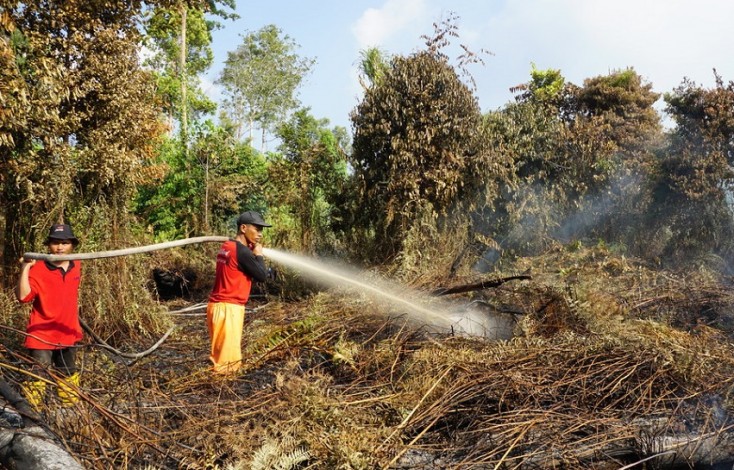 100 Hektar Lahan Terbakar di Rupat, FERT RAPP Turunkan Personel