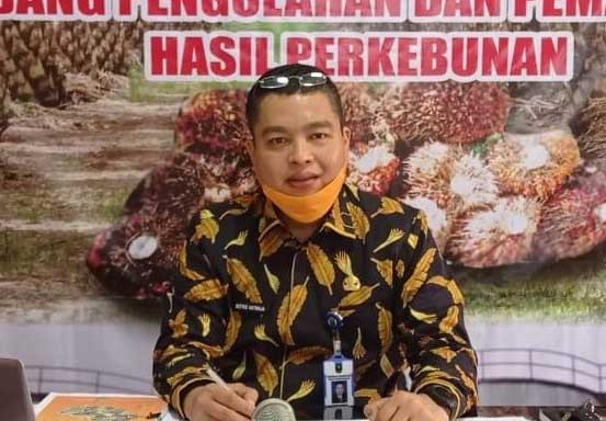 Usai Lebaran, Harga Sawit di Riau Makin Moncer