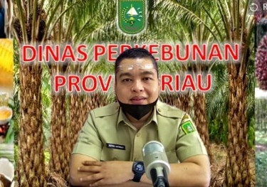 Harga Kelapa Sawit di Riau Terus Merosot, Kini di Level Rp2.361 Perkilogram