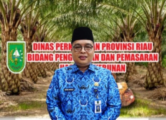 Harga Sawit Riau Naik Lagi, Tembus Rp2.749 Perkilogram