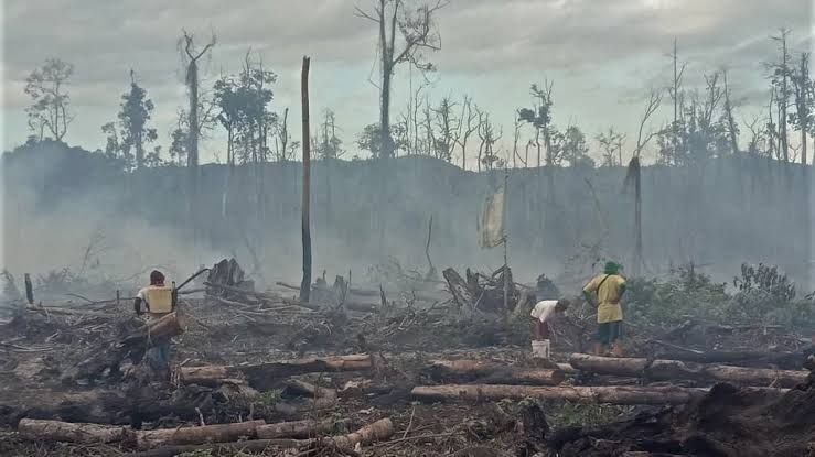 Dua Helikopter Water Boombing Siaga di Dumai, Dicurigai Lahan Sengaja Dibakar