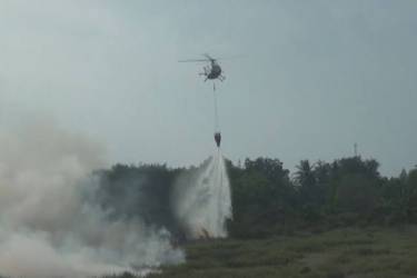 Turunkan Helikopter Water Bombing, Satgas Karhutla Berjibaku Padamkan Kebakaran di Pelalawan