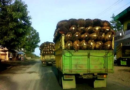 Jalan di Riau Banyak Hancur Gara-gara Truk Sawit, Gubri Minta Perhatian BPDPKS