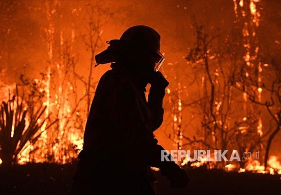 Petugas Australia Sebut tak Bisa Kendalikan Kebakaran Hutan